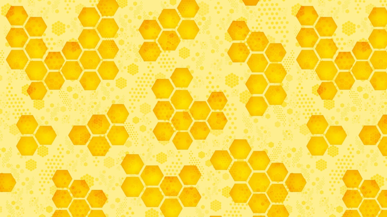 Social media platforms have transformed the way news is disseminated