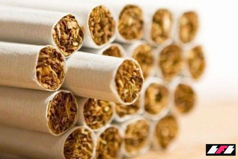 ciga2022-06-1418-52-49_2026-01-21_21-35-082